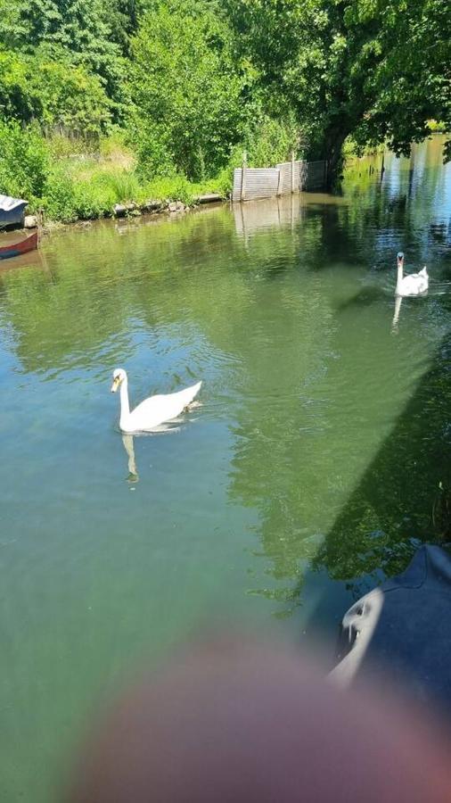 ホテル Au Fils De L'Eau ストラスブール エクステリア 写真