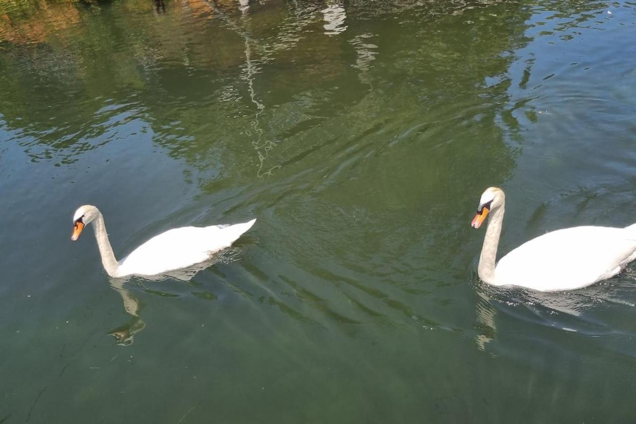 ホテル Au Fils De L'Eau ストラスブール エクステリア 写真